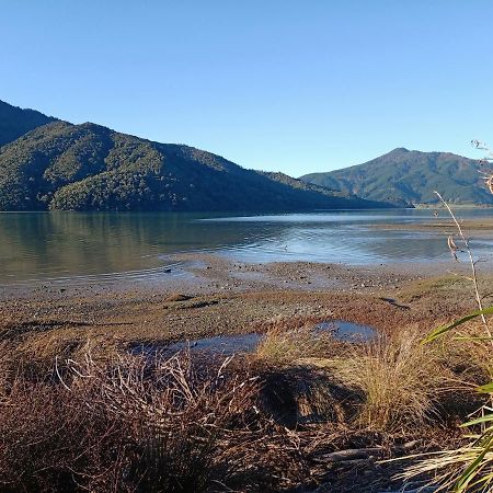Marlborough Sounds Accommodation 792 Havelock Exterior photo